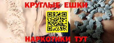 spice Тара