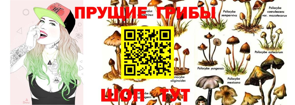 Псилоцибиновые грибы Magic Shrooms  Вход с VPN  Людиново 